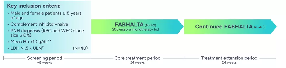 Outline of the APPOINT trial design.